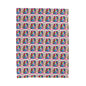 Velveteen Plush Blanket