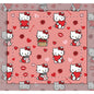 Hello Kitty Valentine Minky Baby Lovey Blanket